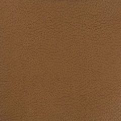 Kravet Design Brown Genslar 6666 Indoor Upholstery Fabric