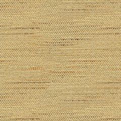 Baker Lifestyle Satara Camel PF50381-170 Multipurpose Fabric