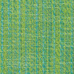 Perennials Stree-Yay! Sugar Snap 942-350 Kidding Around Collection Upholstery Fabric