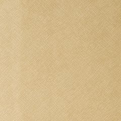 Kravet Contract Roxanne Blondie 16 Sta-Kleen Collection Indoor Upholstery Fabric