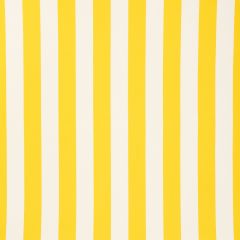 F Schumacher Cabana Stripe Yellow 71752 Indoor / Outdoor Prints and Wovens Collection Upholstery Fabric