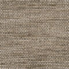 Threads Charisma Mocha ED85189-205 Indoor Upholstery Fabric