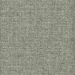 Stout Delucia Carbon 7 Performance Solids by Crypton Home Collection Indoor Upholstery Fabric