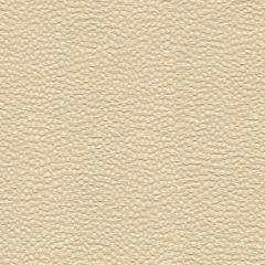 Kravet Whampoa Shell 31965-1 by Candice Olson Indoor Upholstery Fabric