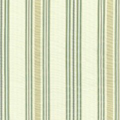 F. Schumacher Biella Silk Stripe Aqua 62180 Chroma Collection