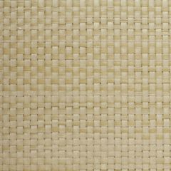 Winfield Thybony Paperweave WT WBG5116 Wall Covering
