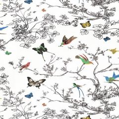 F. Schumacher Birds and Butterflies Multi on White 174760 Exuberant Prints Collection