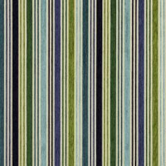 Robert Allen Contract Lifted Lines Malachite 236674 Color Library Collection Indoor Upholstery Fabric
