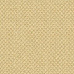 Kravet Sunbrella Tan 25807-414 Guaranteed in Stock Upholstery Fabric