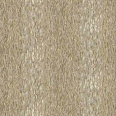 Kravet Basics Chromis Pumice 106 Waterside Collection By Jeffrey Alan Marks Multipurpose Fabric