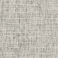 Silver State Clara Ash No Consequences Collection Upholstery Fabric