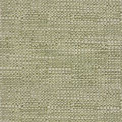 Silver State Clara Lawn No Consequences Collection Upholstery Fabric