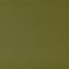 Kravet Contract Clutch Grasshoper 130 Foundations / Value Collection Indoor Upholstery Fabric