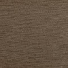 Kravet Contract Clutch Walnut 6 Foundations / Value Collection Indoor Upholstery Fabric