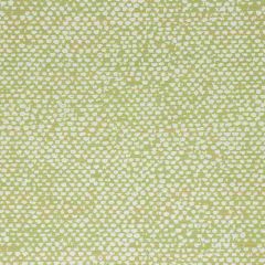 Bella Dura Conga Lime 7355 Upholstery Fabric