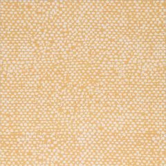Bella Dura Conga Goldenrod 7355 Upholstery Fabric