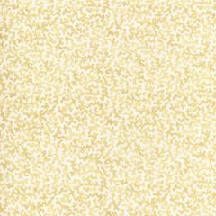 Kravet Basics Coralcoast Cornsilk 14 Small Scale Prints Collection Multipurpose Fabric