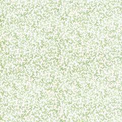 Kravet Basics Coralcoast Sage 30 Small Scale Prints Collection Multipurpose Fabric