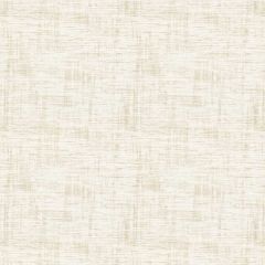 Stout Vanzant Wheat 1 Color My Window Collection Drapery Fabric