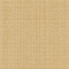 Kravet Smart Beige 31110-16 Indoor Upholstery Fabric