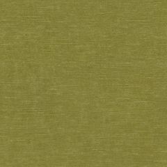 Kravet Venetian Moss 31326-3 Indoor Upholstery Fabric