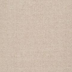 Robert Allen Easy Tweed Grain 247044 Tweedy Textures Collection Indoor Upholstery Fabric