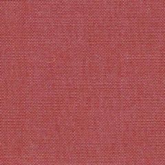 Perennials Canvas Weave Hot Dog 600-94 More Amore Collection Upholstery Fabric