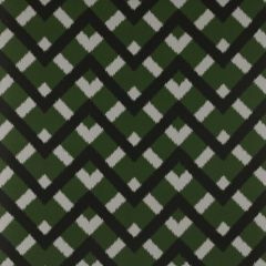 Gaston Y Daniela Monti Verde GDT5338-1 Tierras Collection Multipurpose Fabric