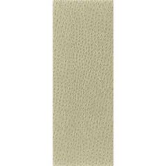 Kravet Basics Nuostrich 116 Indoor Upholstery Fabric