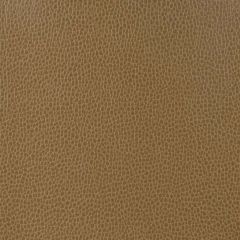 Kravet Design Brown Gillian 6 Indoor Upholstery Fabric