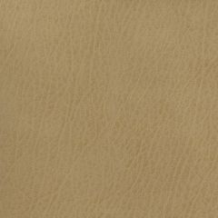 Kravet Basics Celine Beige 106 Faux Leather Indoor Upholstery Fabric