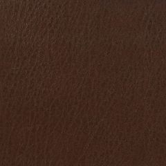 Kravet Basics Celine Brown 6 Faux Leather Indoor Upholstery Fabric