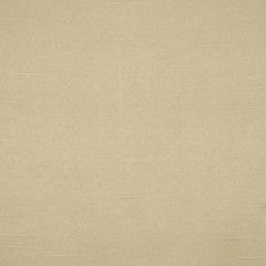 Robert Allen Satin Lustre-Rye 140722 Decor Drapery Fabric