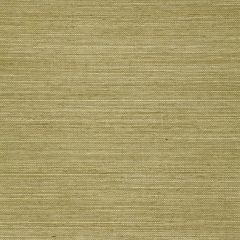 F-Schumacher Haruki Sisal-Olive 5004709 Luxury Decor Wallpaper