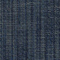 Perennials Stree-Yay! Blue Boy 942-390 Kidding Around Collection Upholstery Fabric