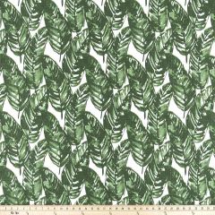 Premier Prints Costa Rica Pine / Slub Canvas Multipurpose Fabric