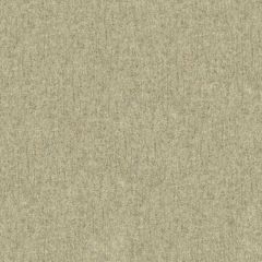 Kravet Couture Alpine Wool Fleece 33905-1611 Chalet Collection by Barbara Barry Indoor Upholstery Fabric