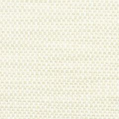 Stout Opposite Parchment 1 Light N' Easy Performance Collection Indoor Upholstery Fabric