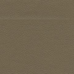 F. Schumacher Brisa Bark 303-3914 Ultraleather Collection