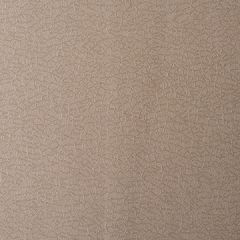 Kravet Contract Barracuda Seal 106 Sta-Kleen Collection Indoor Upholstery Fabric