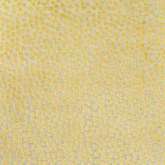 Kravet Basics Flurries Citrine 34849-40 Thom Filicia Altitude Collection Indoor Upholstery Fabric