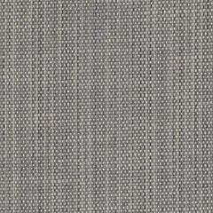 Perennials Rough Copy Silver Lining 956-295 Uncorked Collection Upholstery Fabric