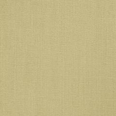 Robert Allen Sweet Solid Amber 243234 Drapeable Elegant Textures Collection Multipurpose Fabric