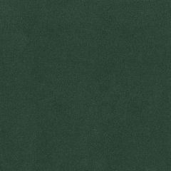 Lee Jofa Oxford Velvet Sea Green 2016122-303 Indoor Upholstery Fabric