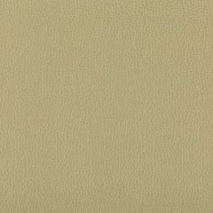 Kravet Contract Lenox Sage 30 Indoor Upholstery Fabric