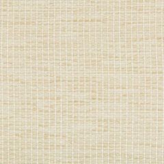 Kravet Design 35123-116 Performance Crypton Home Collection Indoor Upholstery Fabric