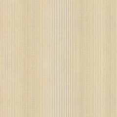 Kravet Contract Beige 4168-16 Wide Illusions Collection Drapery Fabric