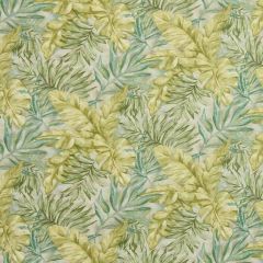 Robert Allen Monsoon Leaf Aloe 215440 Color Library Collection Multipurpose Fabric