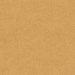 Kravet Design Orange 33125-116 Indoor Upholstery Fabric