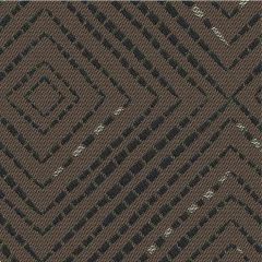 Outdura Domino Coco 3119 Ovation 3 Collection - Earthy Balance Upholstery Fabric - by the roll(s)